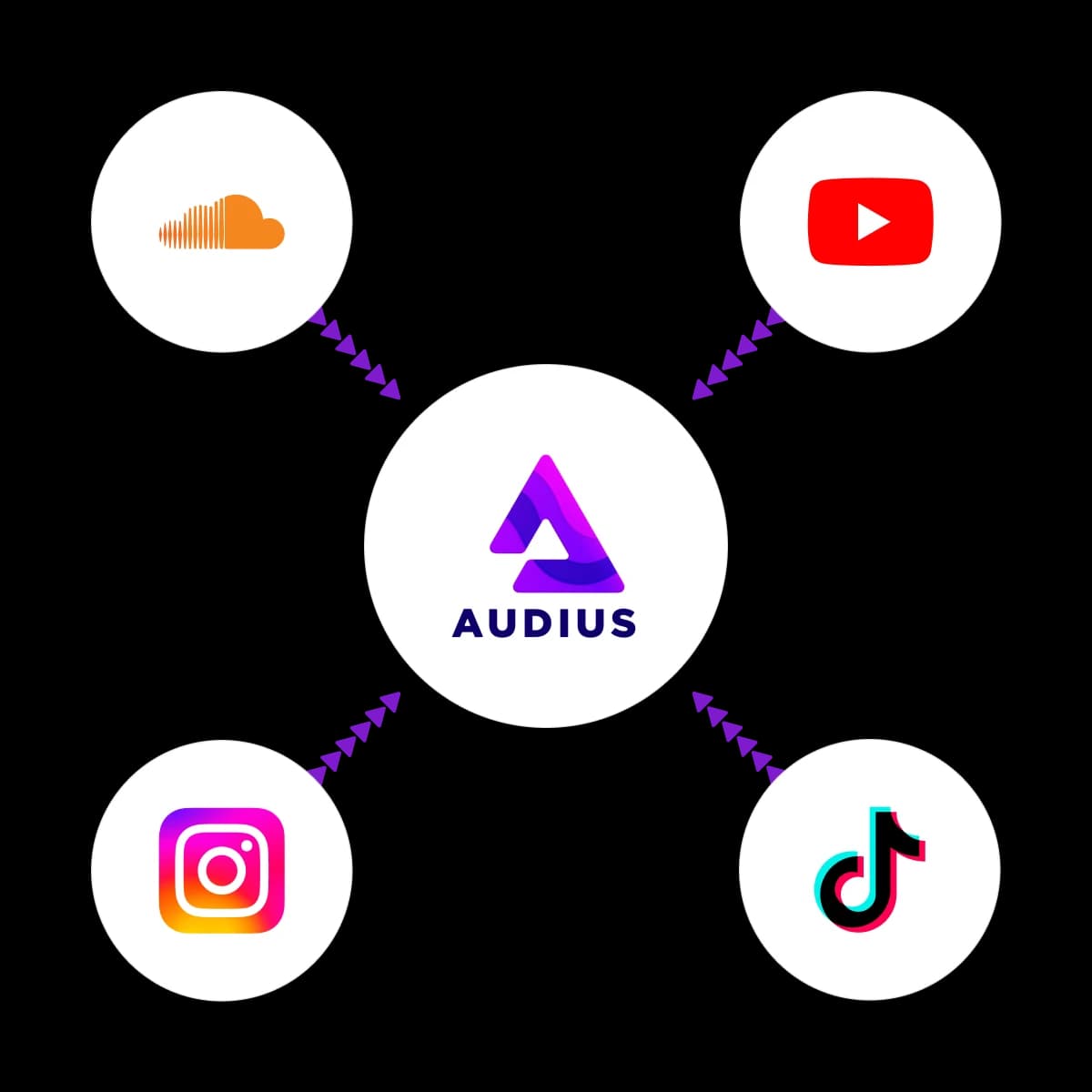 67291026f8c9e2b0588c2100 672910220eaa190154db28e6 diagram how to transition your fanbase
